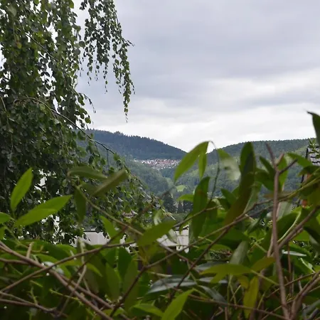 Die Eiche Bad Herrenalb