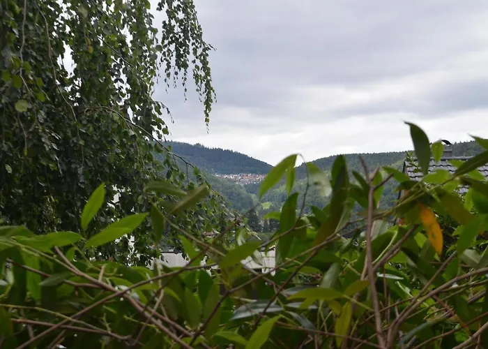 Die Eiche Bad Herrenalb