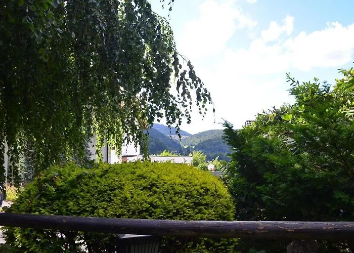 Die Eiche Bad Herrenalb